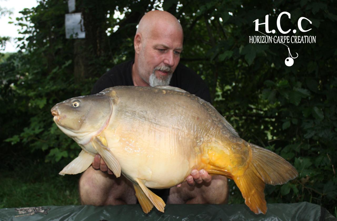 PHILIPPE MONTEGU - HCC
