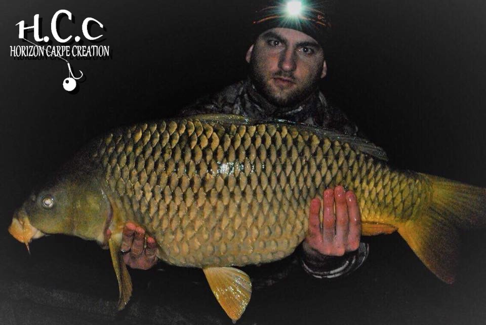 FLORIAN - CLIENT HCC