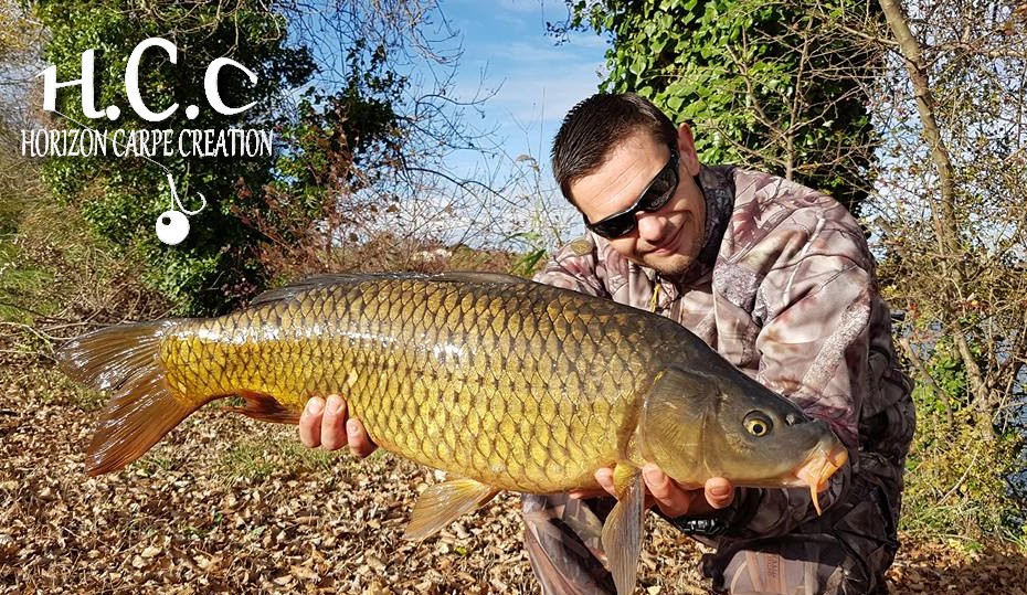 FRED POIROUX - TESTEUR HCC