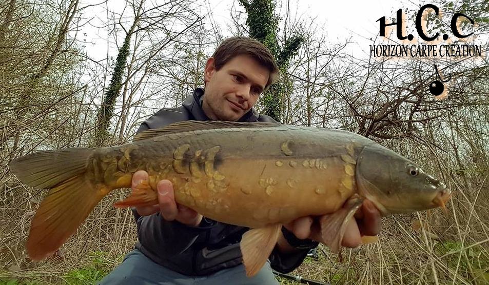 FRED POIROUX - TESTEUR HCC