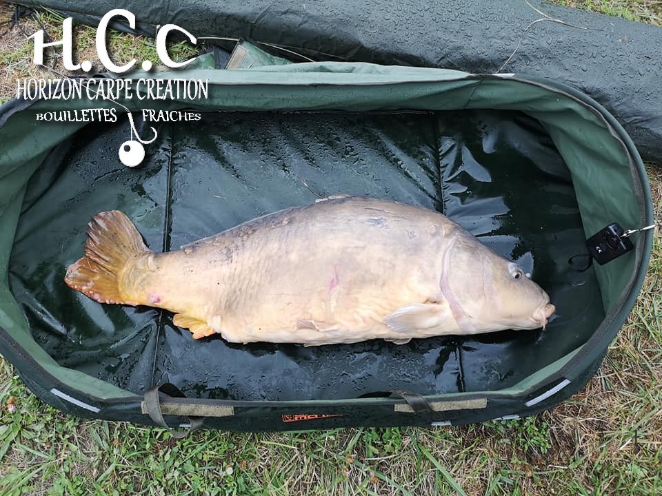GAEL BRICNET - CLIENT HCC