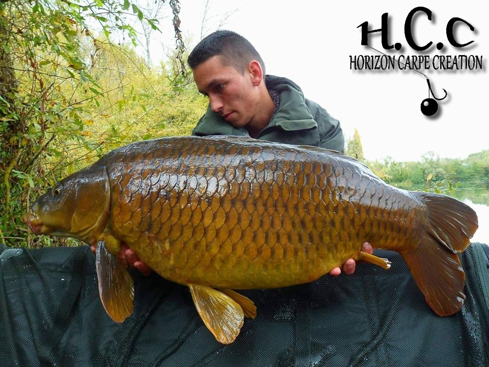 GAETAN SAUTIER - CLIENT HCC