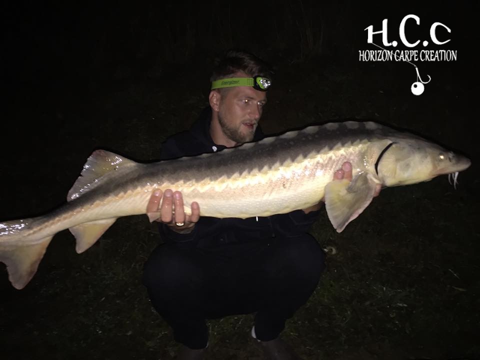 GREG NOLAN - TEAM HCC IDF