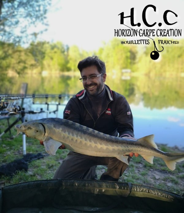 GUILLAUME TONTO - AMI HCC