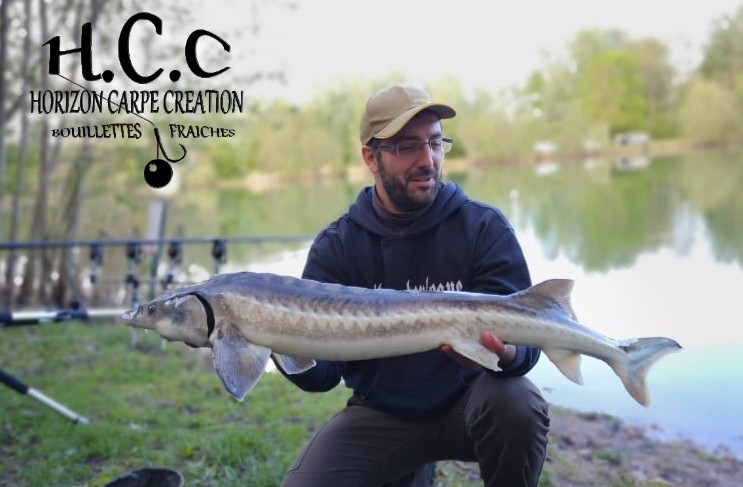 GUILLAUME TONTO - AMI HCC