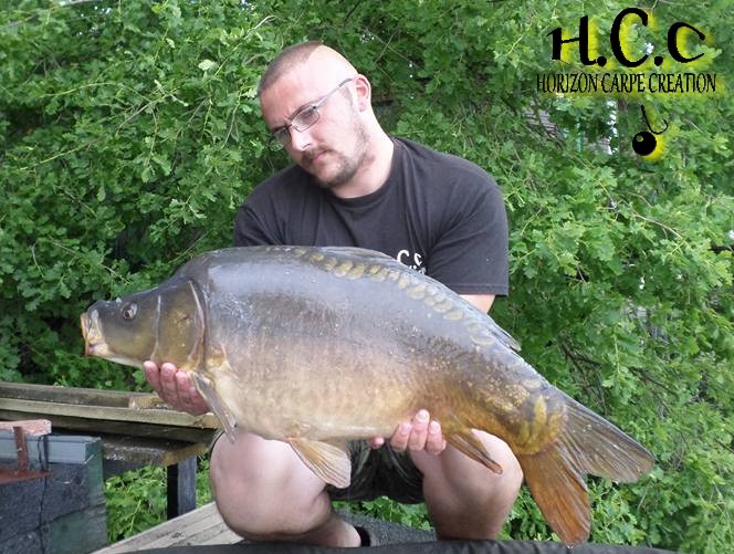 CEDRIC HAVY - CONSULTANT HCC