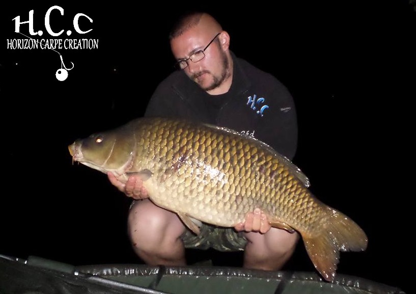 CEDRIC HAVY - CONSULTANT HCC