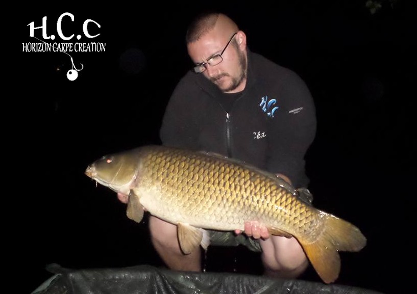 CEDRIC HAVY - CONSULTANT HCC