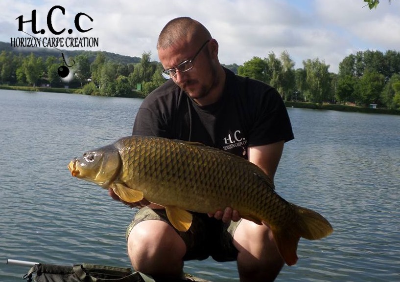 CEDRIC HAVY - CONSULTANT HCC