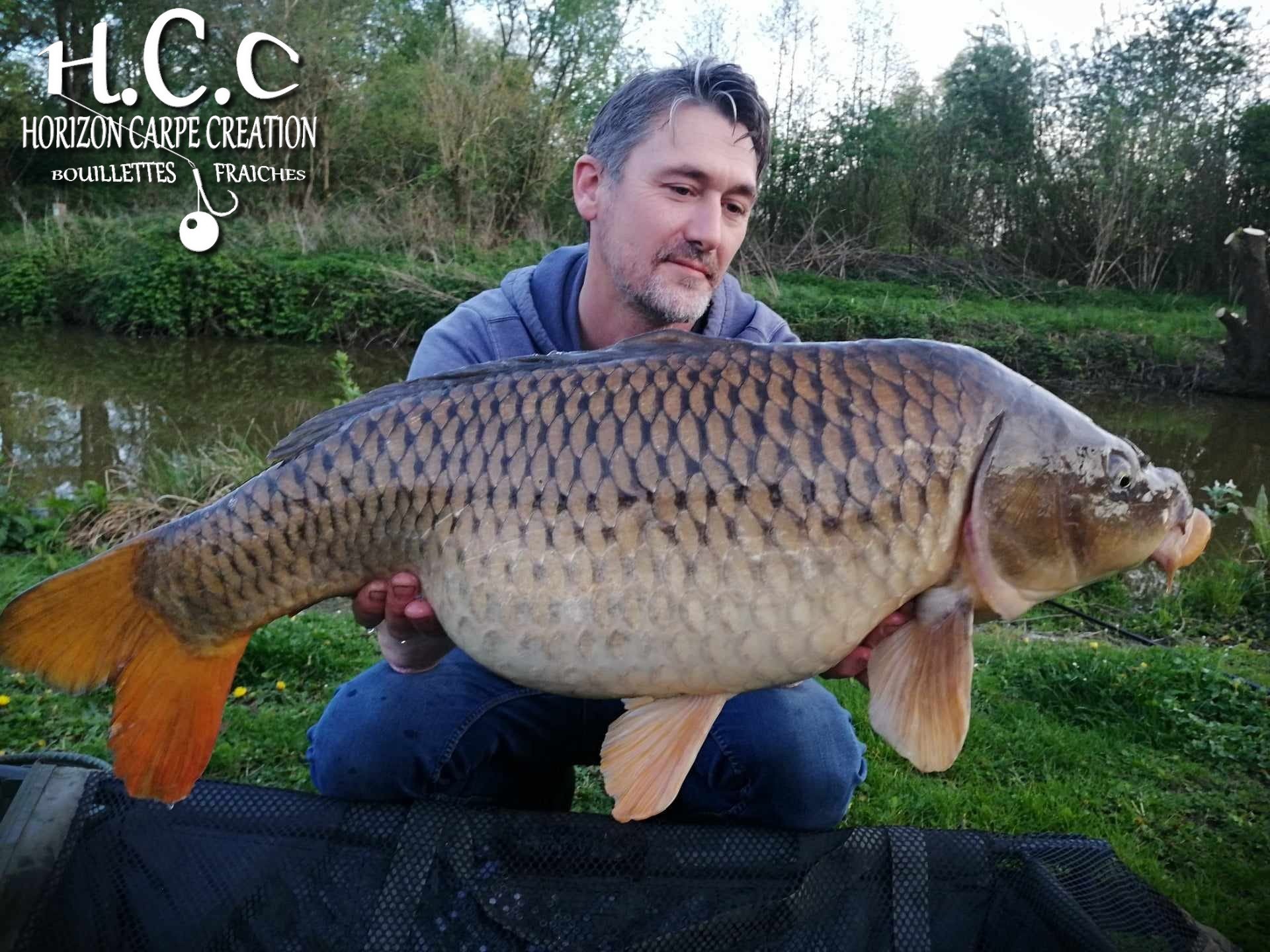 HUGO FASQUELLE - CONSULTANT HCC