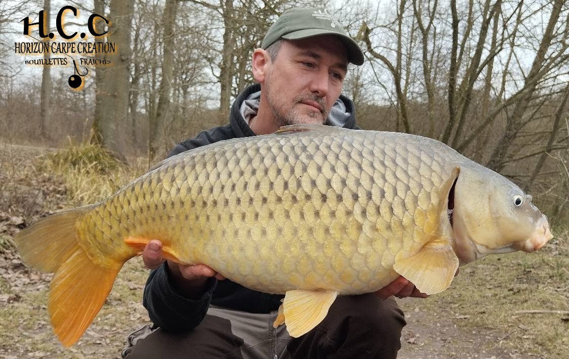 HUGO FASQUELLE - CONSULTANT HCC