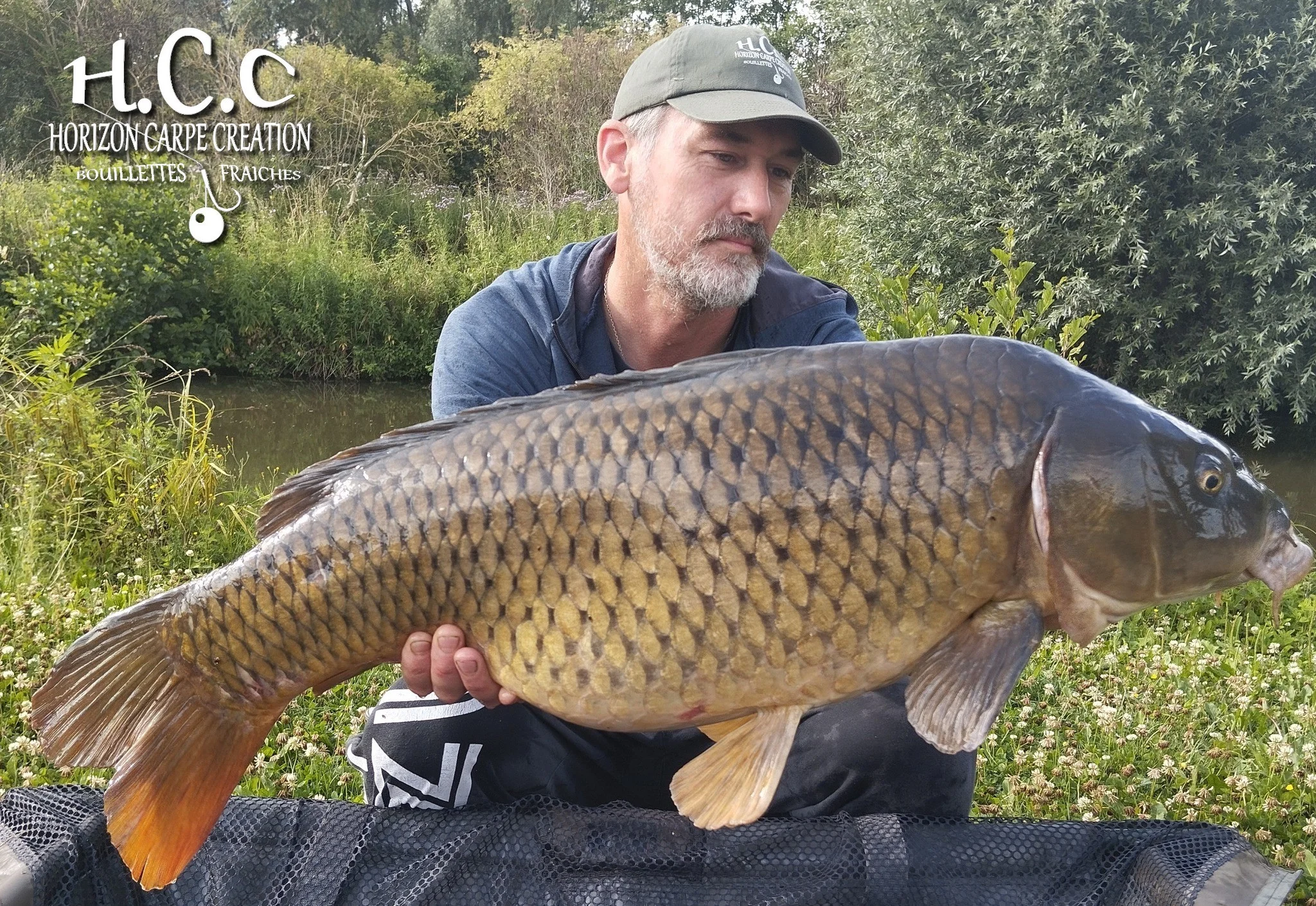 HUGO FASQUELLE - CONSULTANT HCC