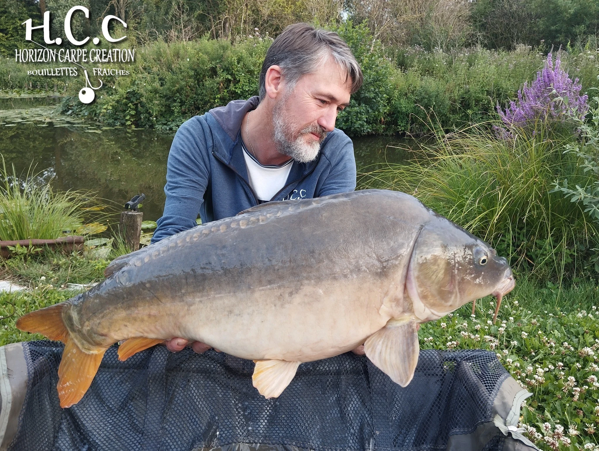 HUGO FASQUELLE - CONSULTANT HCC