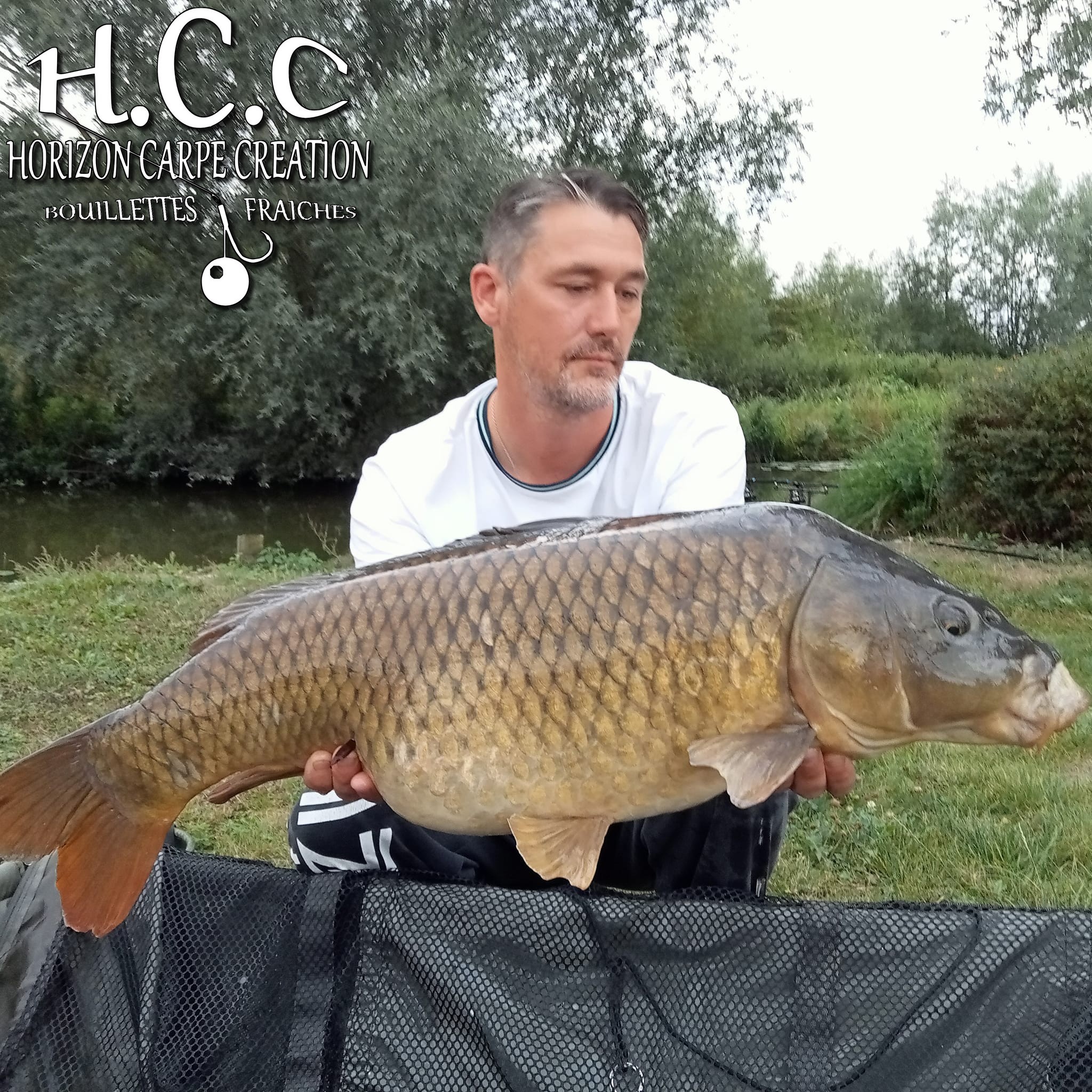 HUGO FASQUELLE - CONSULTANT HCC