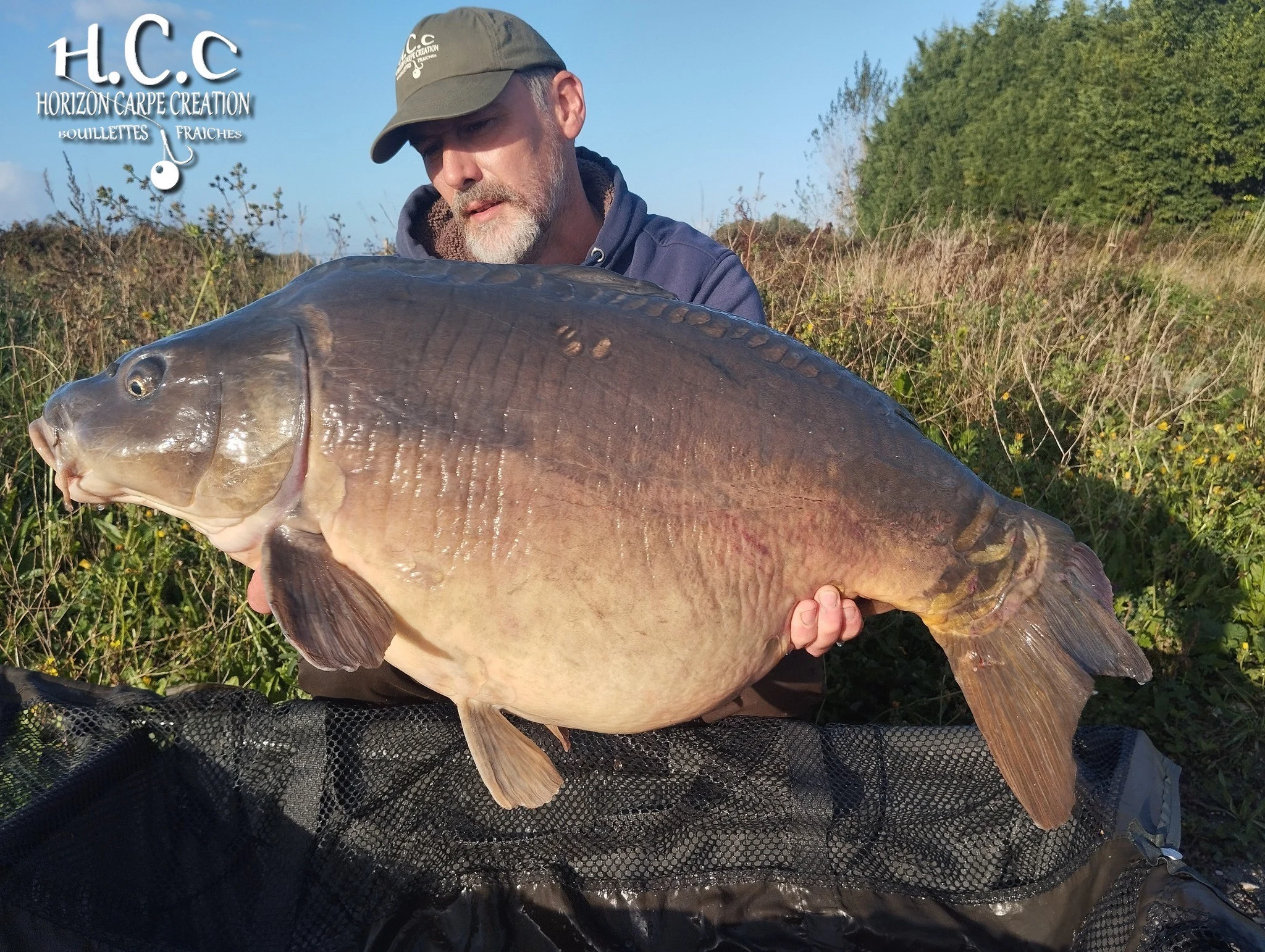 HUGO FASQUELLE - CONSULTANT HCC