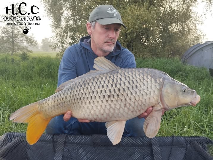 HUGO FASQUELLE - CONSULTANT HCC