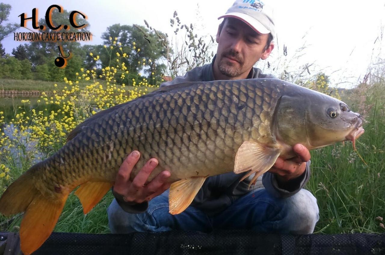 HUGO FASQUELLE - CLIENT HCC