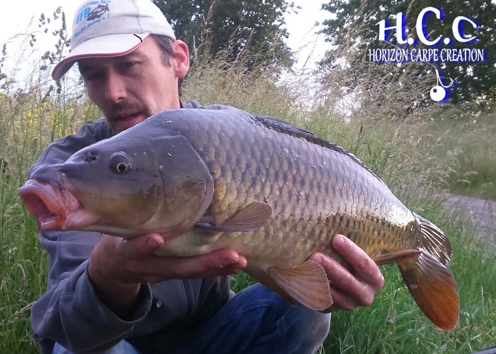 HUGO FASQUELLE - CLIENT HCC