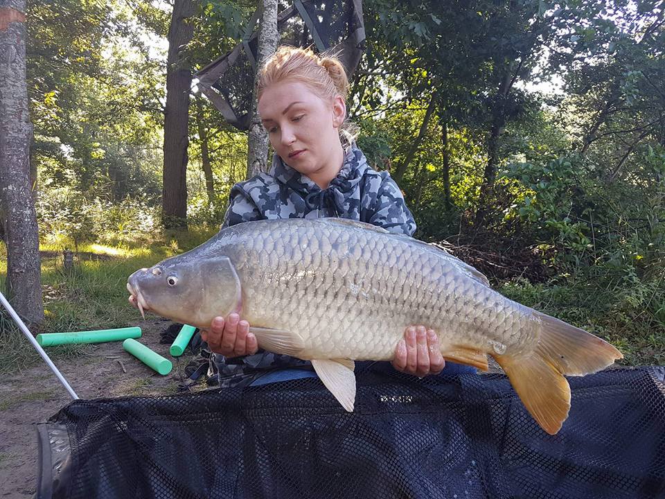 HUGO FASQUELLE - CLIENT HCC