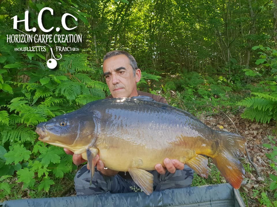 JEAN PAUL DELHOUME - TEAM HCC