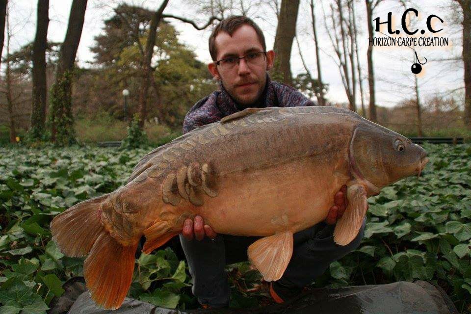 JEROME - CLIENT HCC