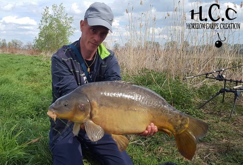 JONATHAN COLMAR - CONSULTANT HCC