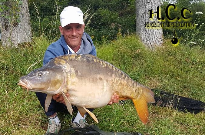 JONATHAN COLMAR - CONSULTANT HCC