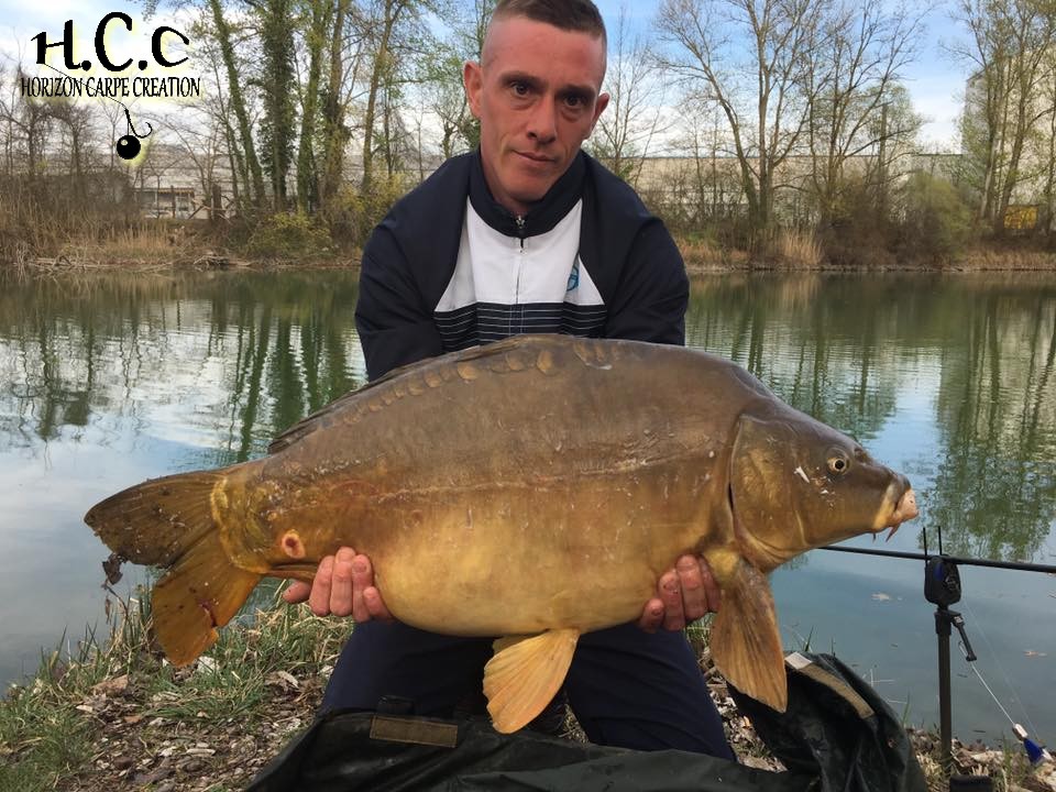 JONATHAN COLMAR - CONSULTANT HCC