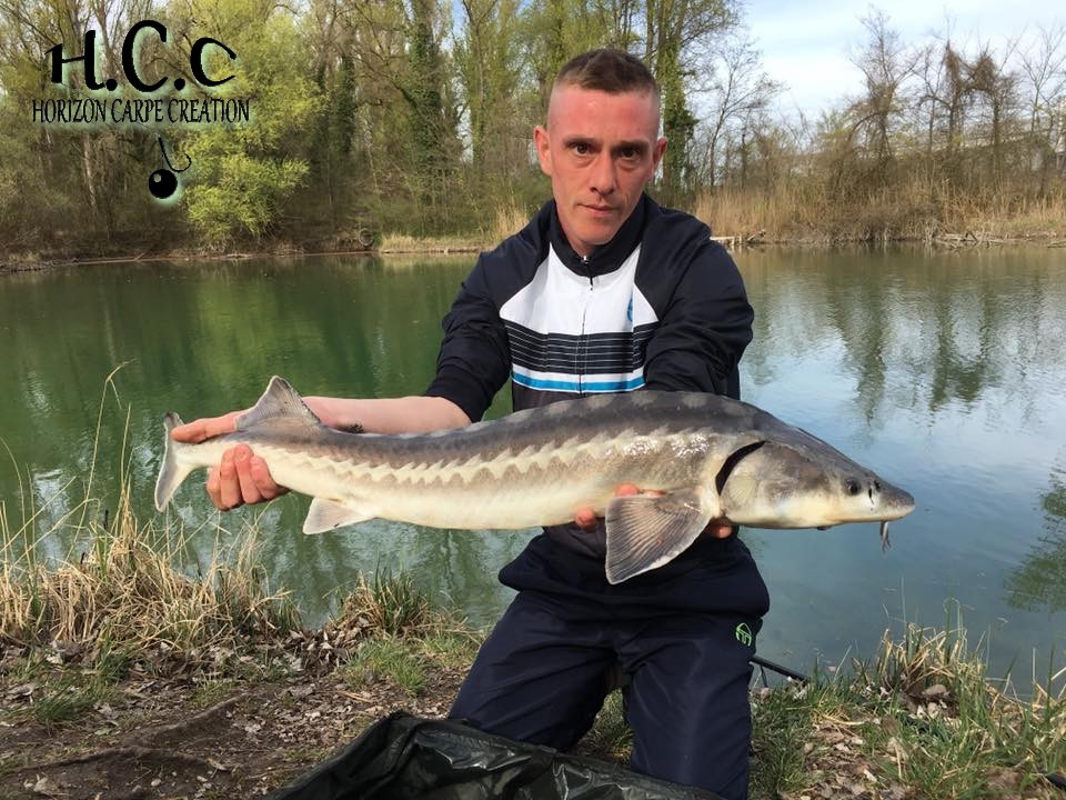 JONATHAN COLMAR - CONSULTANT HCC