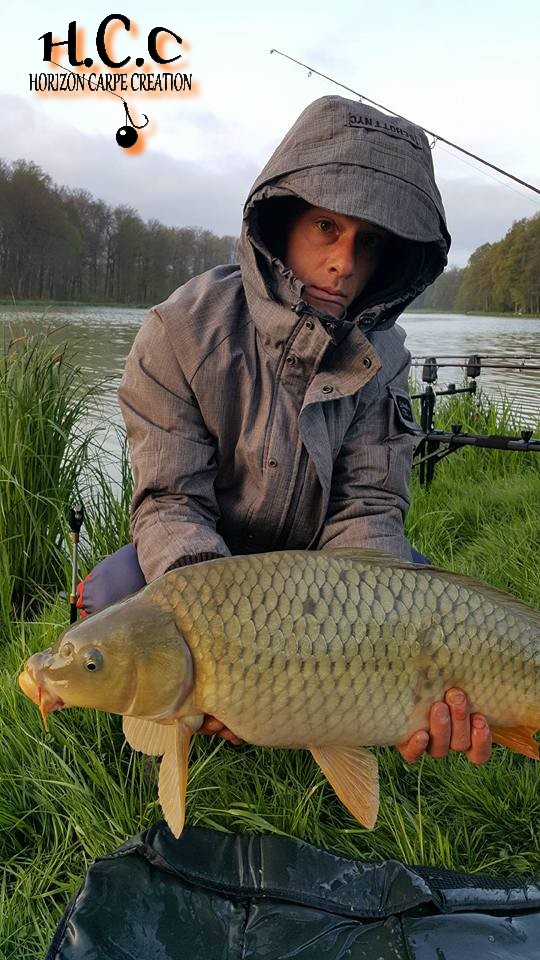 JONATHAN COLMAR - CONSULTANT HCC