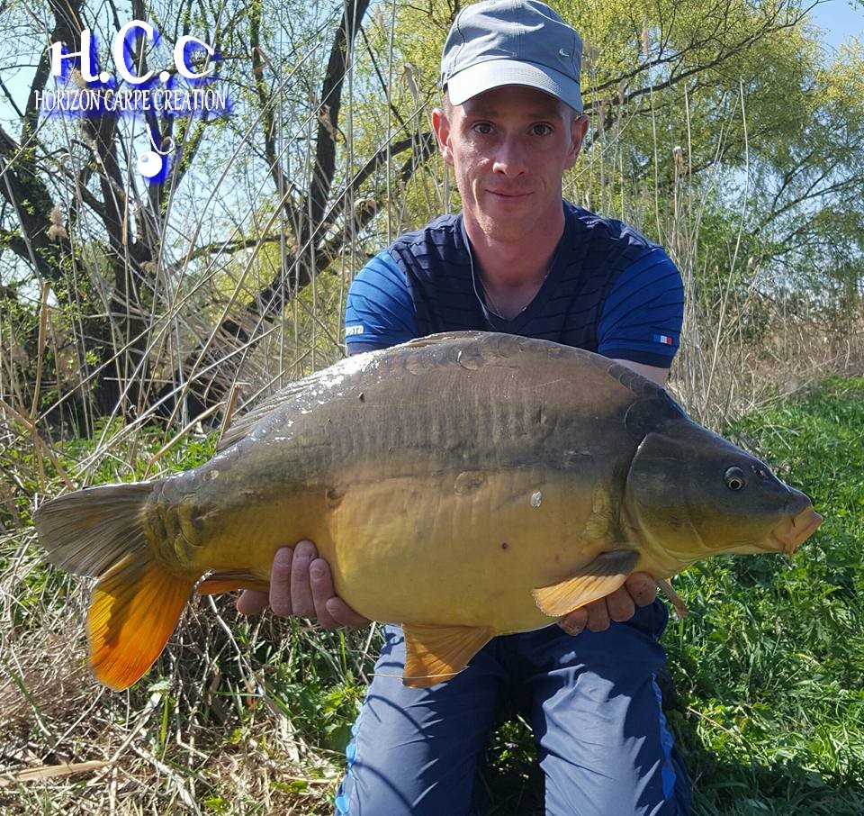 JONATHAN COLMAR - CONSULTANT HCC