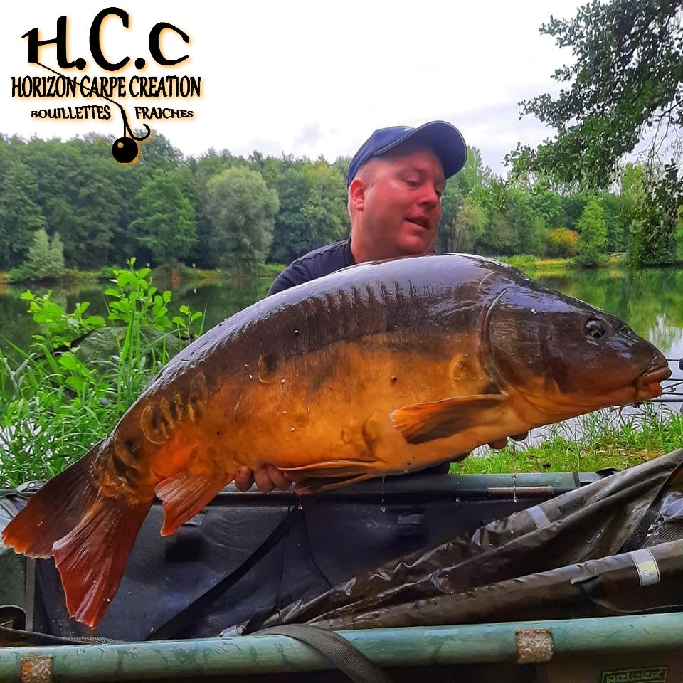 JONATHAN THIRION - CLIENT HCC