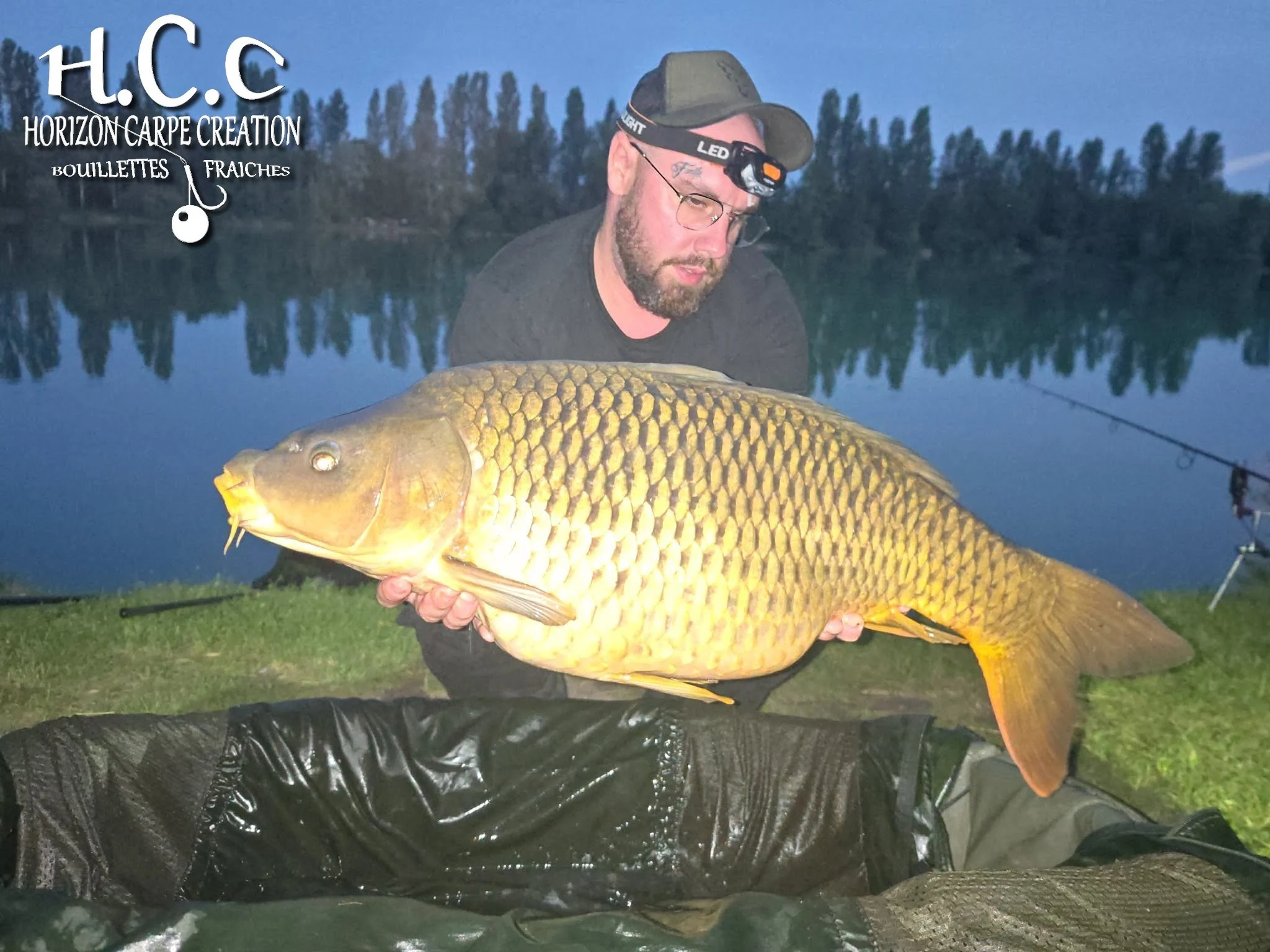 JORDAN ET CHRIS - CONSULTANTS HCC
