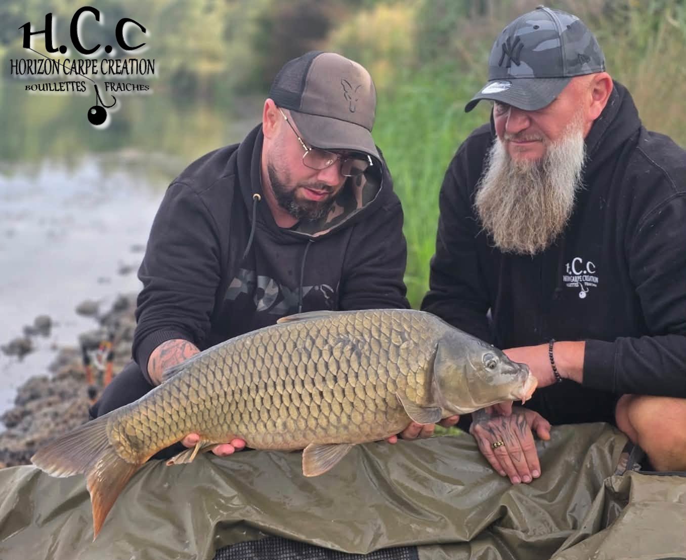 JORDAN ET CHRIS - CONSULTANTS HCC