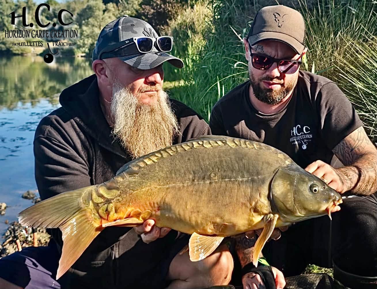 JORDAN ET CHRIS - CONSULTANTS HCC