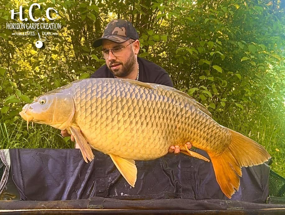 JORDAN BOULANGER - CONSULTANT HCC