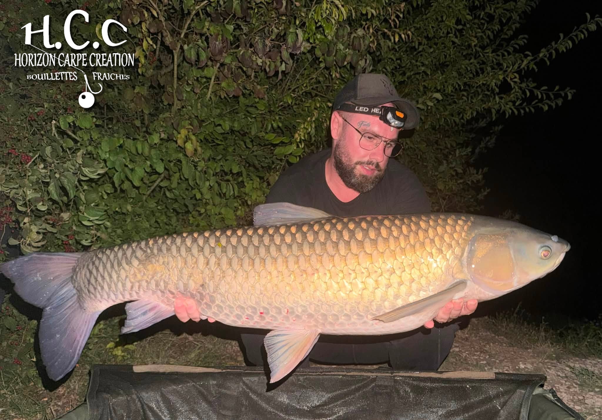 JORDAN BOULANGER - CONSULTANT HCC