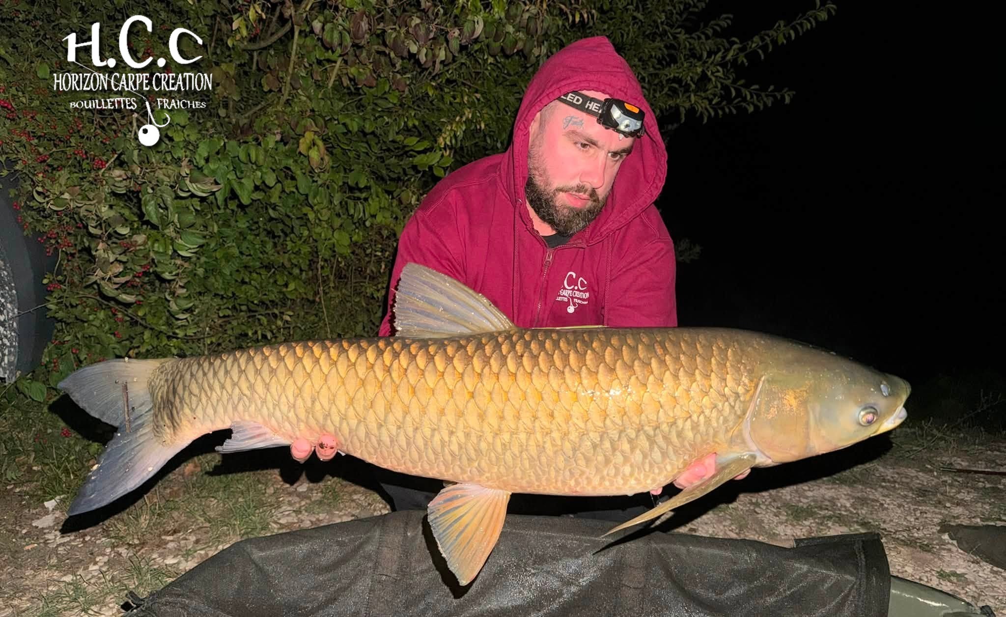 JORDAN BOULANGER - CONSULTANT HCC