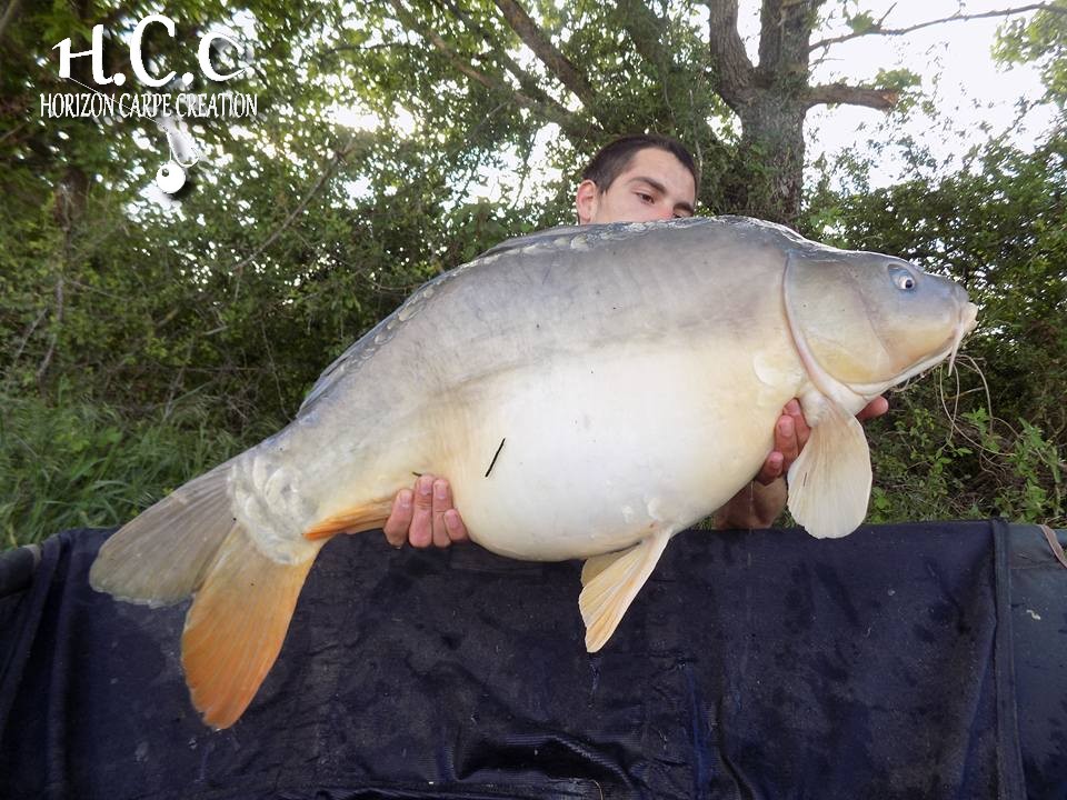 JULIEN BONAMY - CONSULTANT HCC