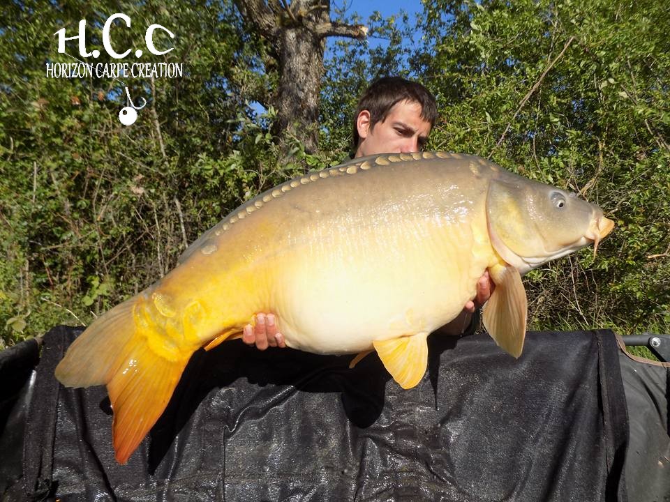 JULIEN BONAMY - CONSULTANT HCC