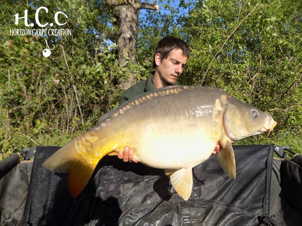 JULIEN BONAMY - CONSULTANT HCC