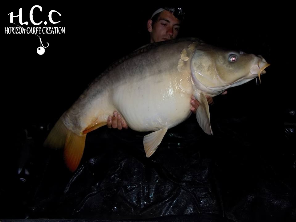 JULIEN BONAMY - CONSULTANT HCC