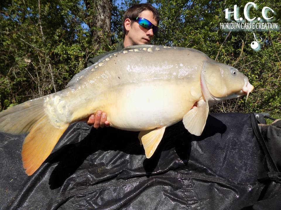 JULIEN BONAMY - CONSULTANT HCC
