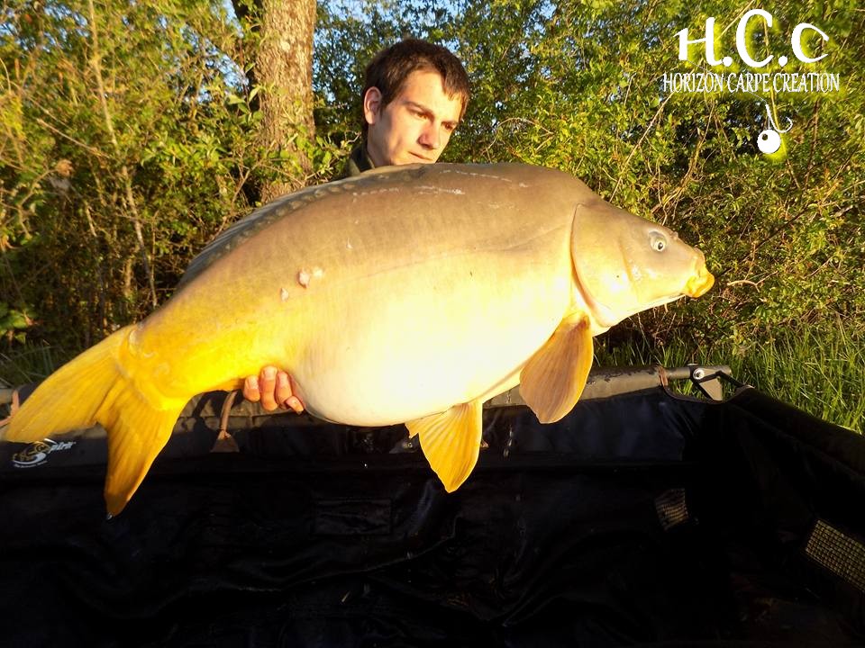 JULIEN BONAMY - CONSULTANT HCC