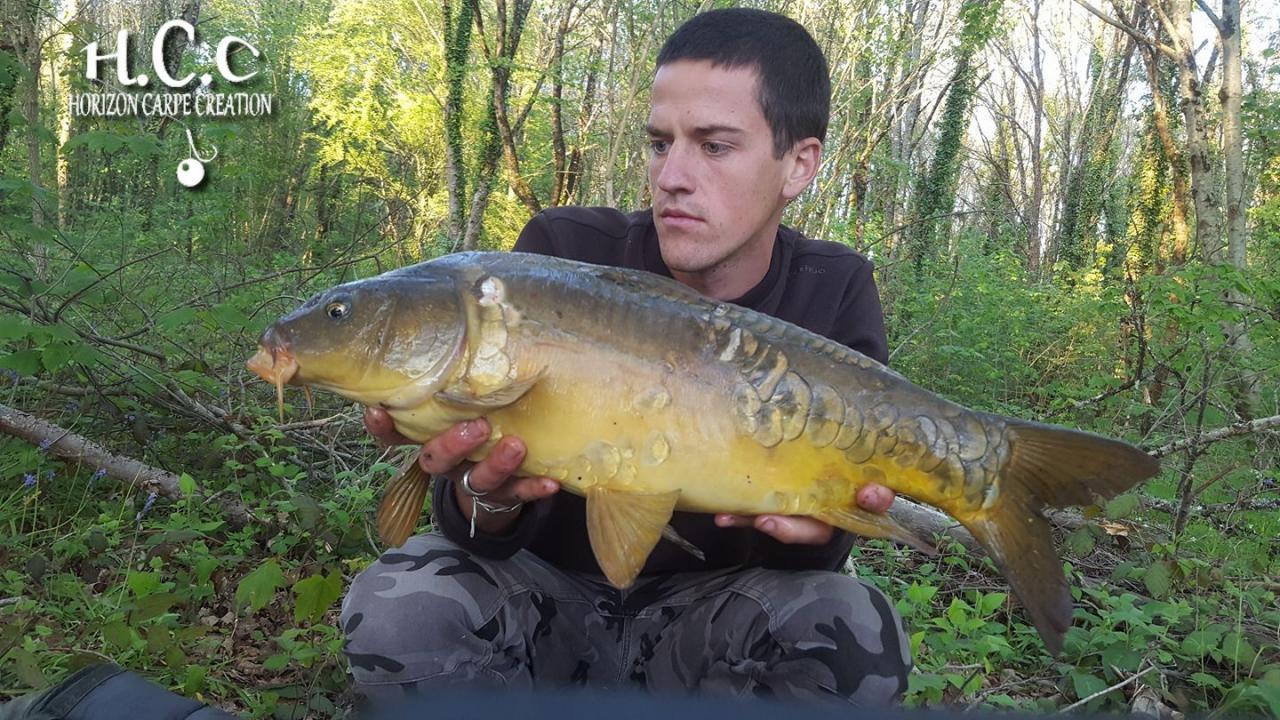 JULIEN DELHOUME - CONSULTANT HCC