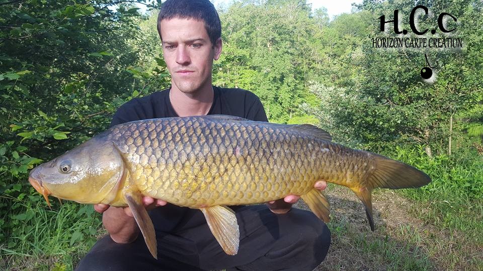 JULIEN DELHOUME - CONSULTANT HCC