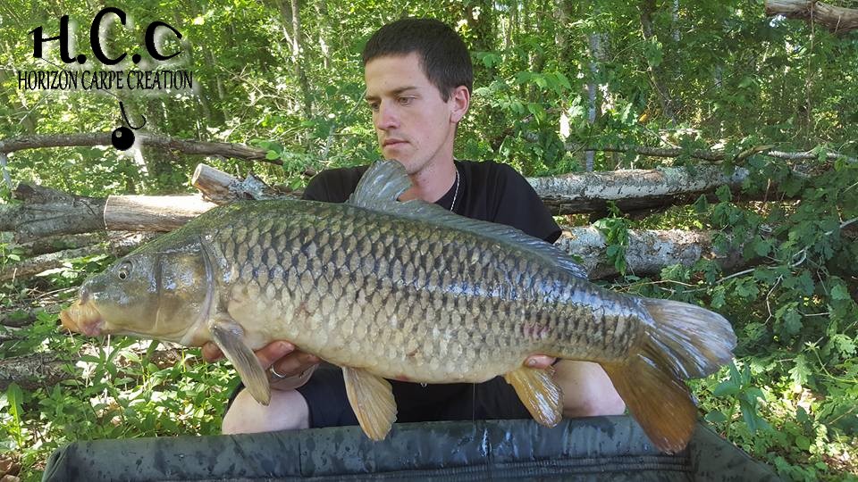 JULIEN DELHOUME - CONSULTANT HCC