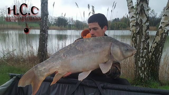 JULIEN DELHOUME - CONSULTANT HCC