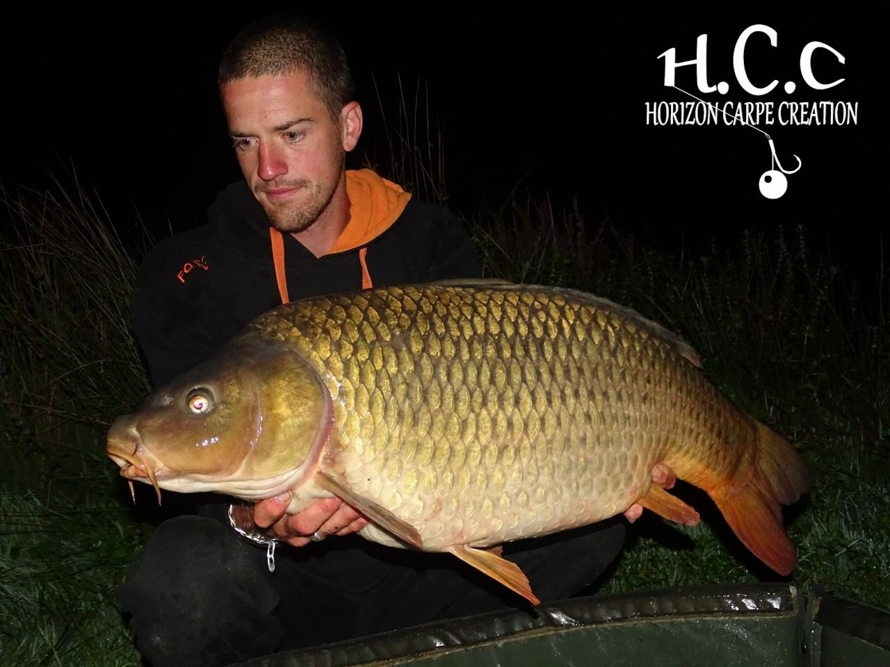 JULIEN DELHOUME - CONSULTANT HCC