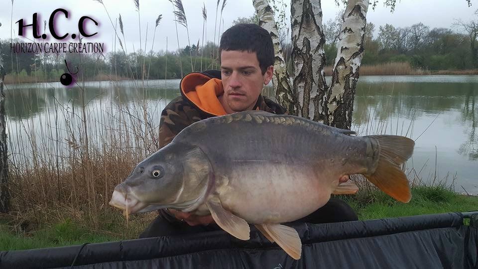 JULIEN DELHOUME - CONSULTANT HCC